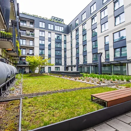 Lights Kazimierz * קרקוב